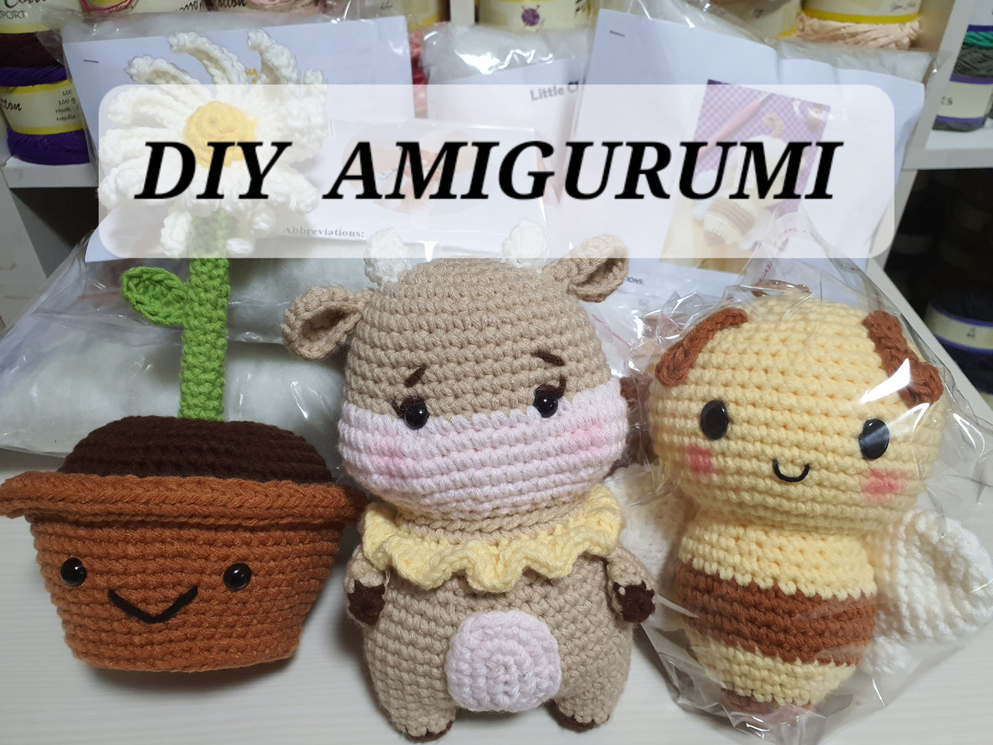 DIY Amigurumi Set