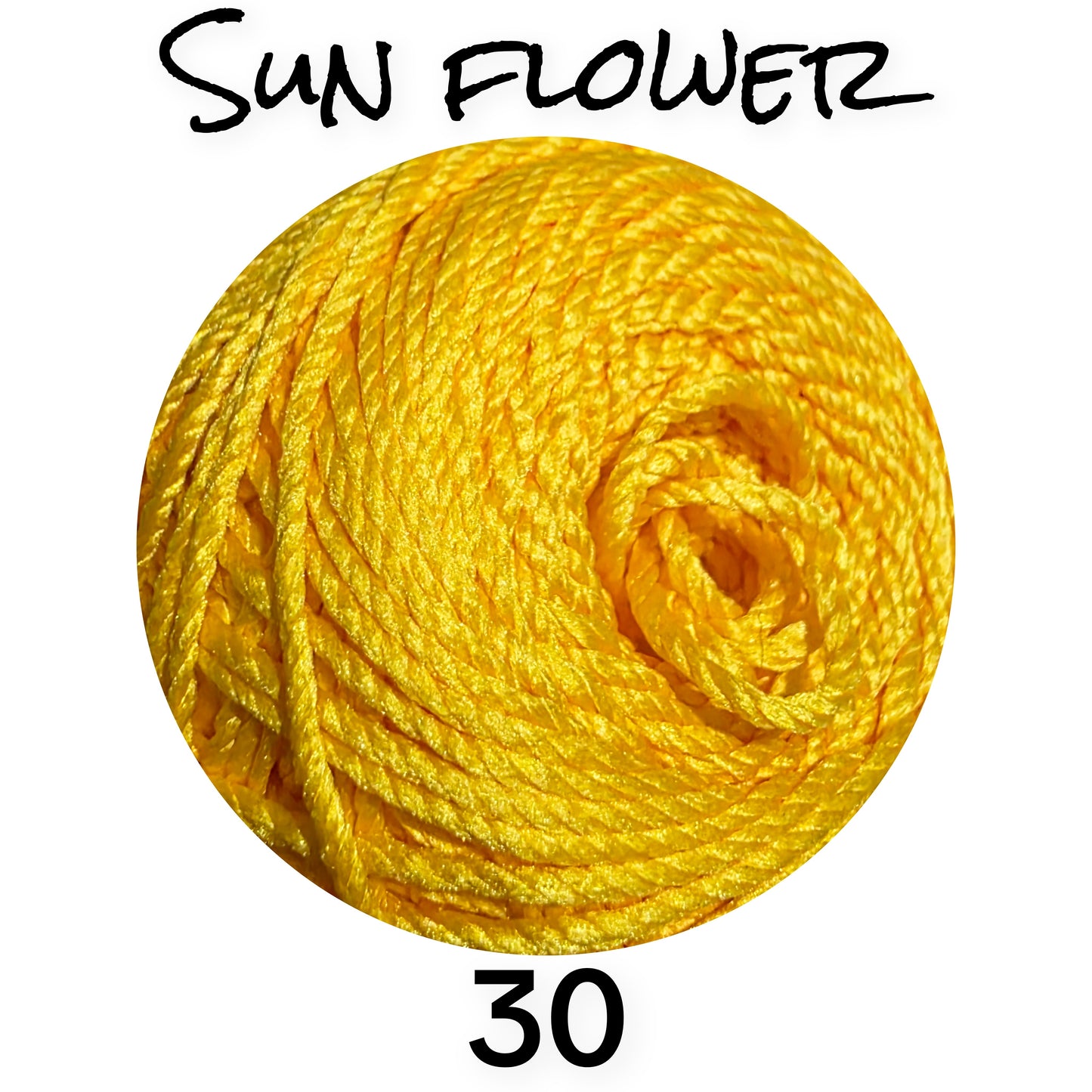 Polyester Shiny Yarn 100g